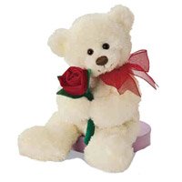 Send Gifts to India : Gifts to India : Teddy Bears to India
