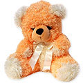 Send Gifts to India : Gifts to India : Teddy Bears to India